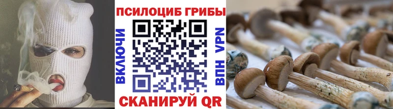 наркотики Майский Галлюциногенные грибы ЛСД